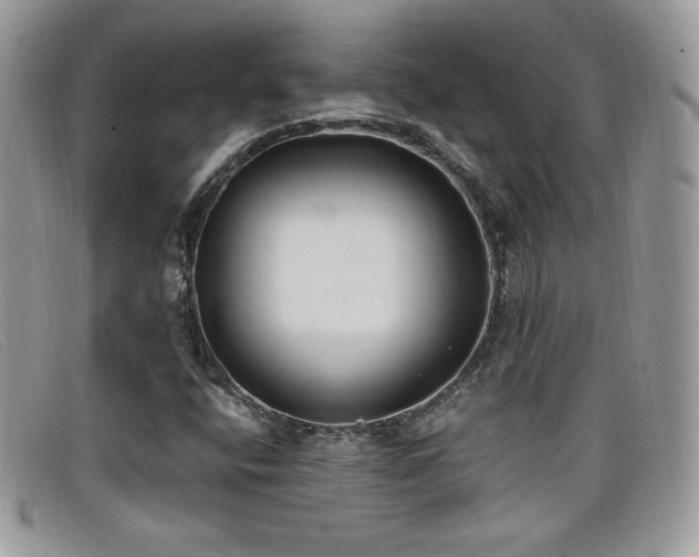 X0000099301400200805021221