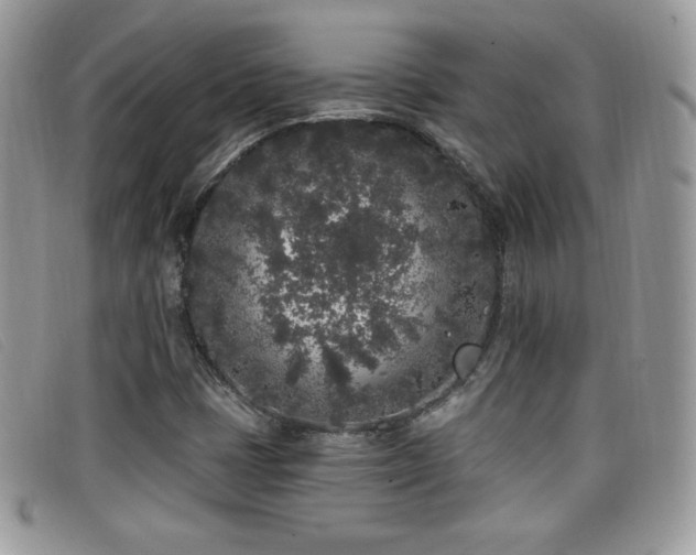 X0000099301401200805021221