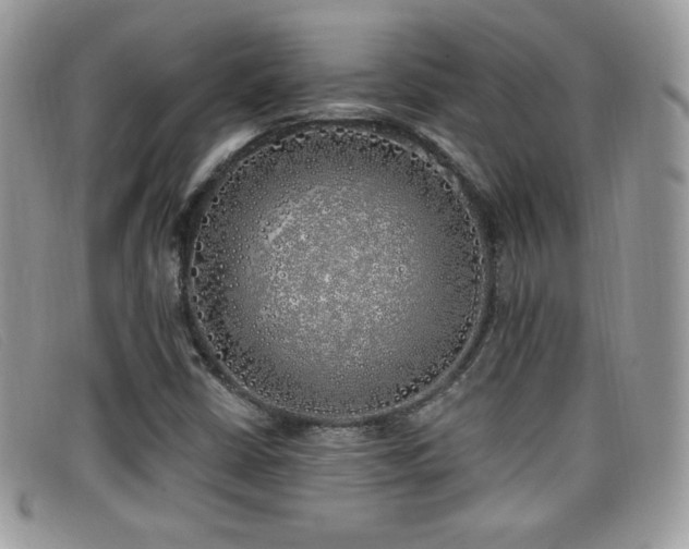 X0000099301402200805021221