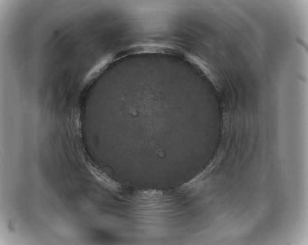 X0000099301403200805021221