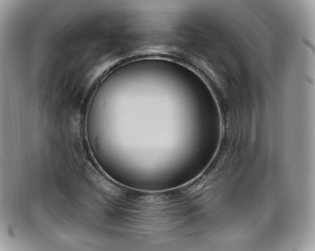 X0000099301404200805021221