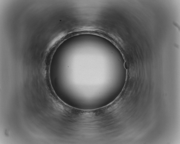 X0000099301406200805021221