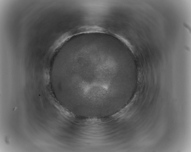 X0000099301407200805021221