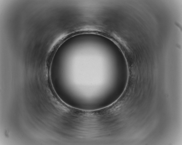 X0000099301408200805021221