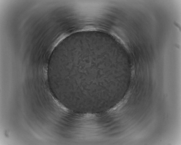 X0000099301409200805021221