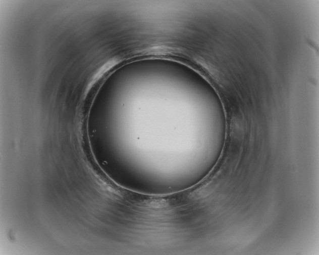 X0000099301410200805021221