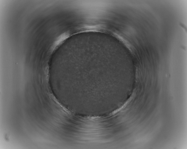 X0000099301411200805021221