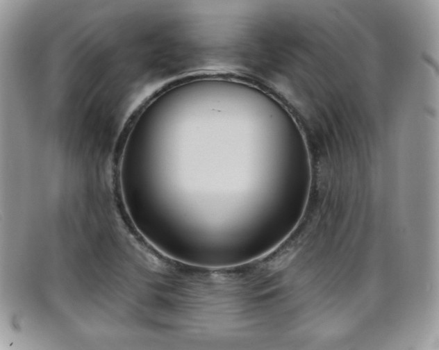 X0000099301412200805021221