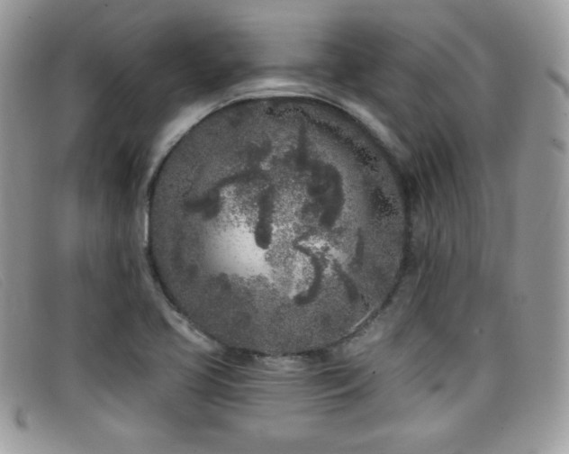 X0000099301413200805021221