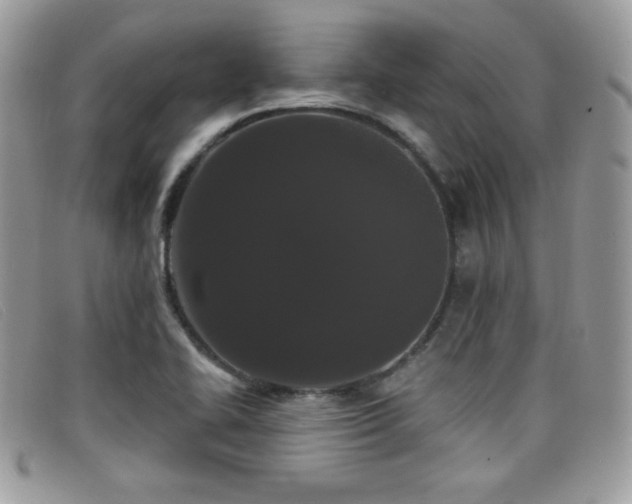 X0000099301414200805021221