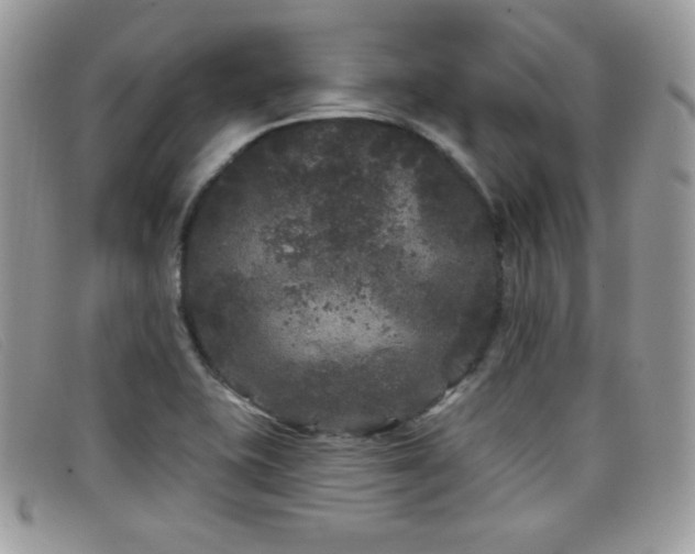 X0000099301415200805021221