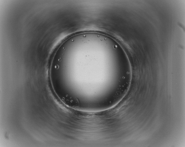 X0000099301416200805021221
