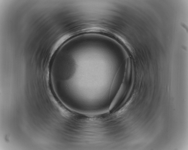 X0000099301418200805021221