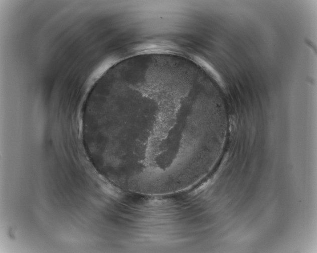 X0000099301419200805021221