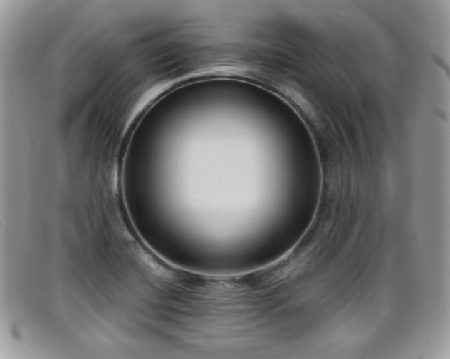 X0000099301420200805021221