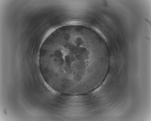 X0000099301421200805021221