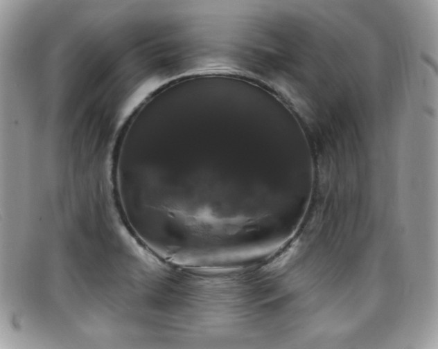 X0000099301422200805021221