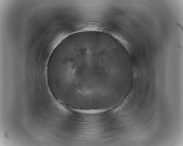 X0000099301423200805021221