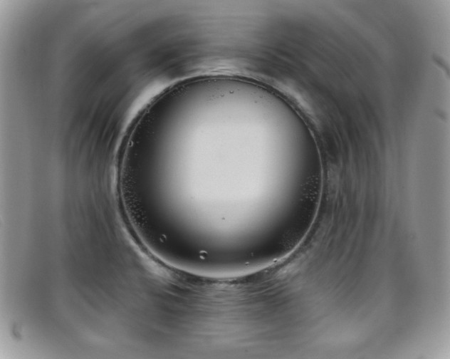 X0000099301424200805021221