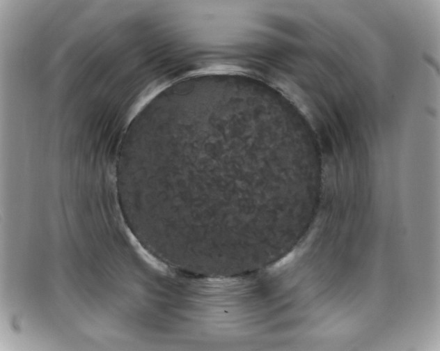 X0000099301425200805021221