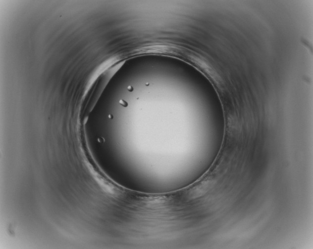 X0000099301426200805021221