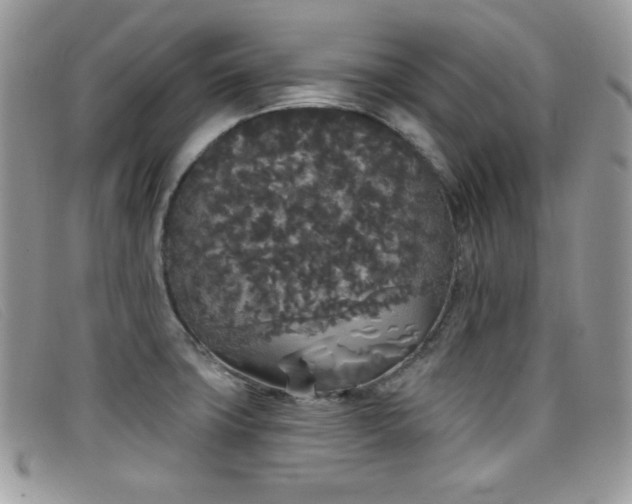 X0000099301427200805021222