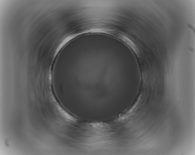 X0000099301428200805021222