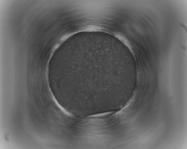 X0000099301429200805021222