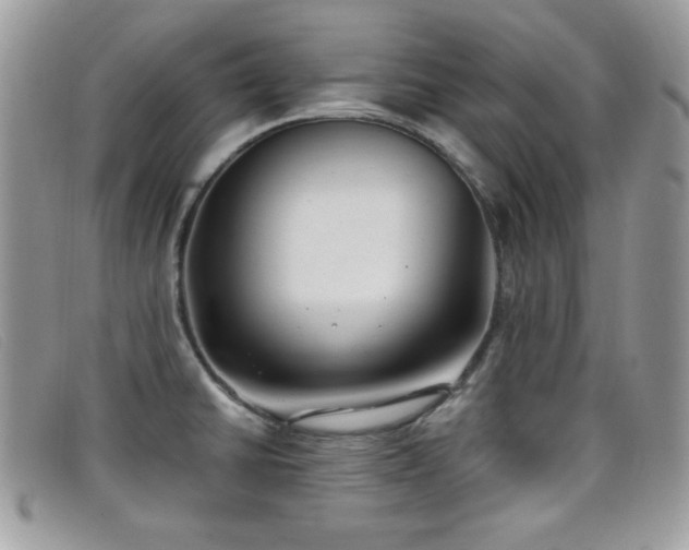 X0000099301430200805021222