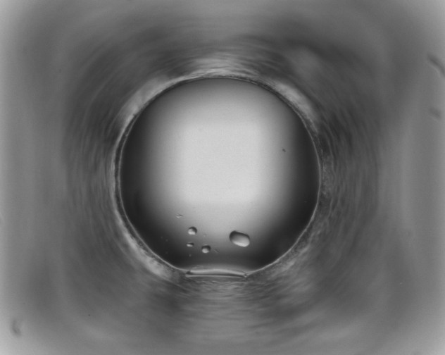 X0000099301431200805021222