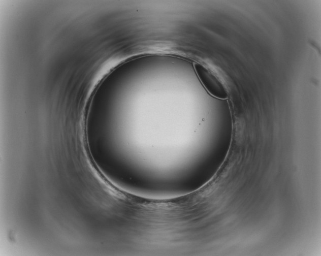 X0000099301432200805021222