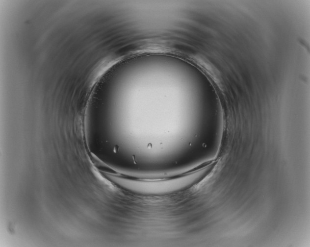 X0000099301433200805021222