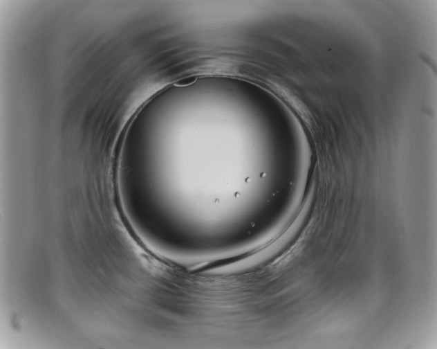 X0000099301434200805021222