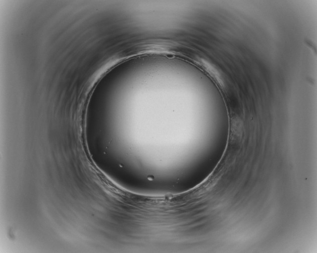 X0000099301435200805021222