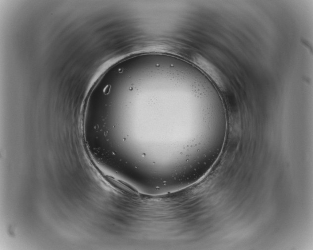 X0000099301436200805021222