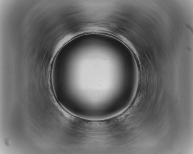 X0000099301437200805021222