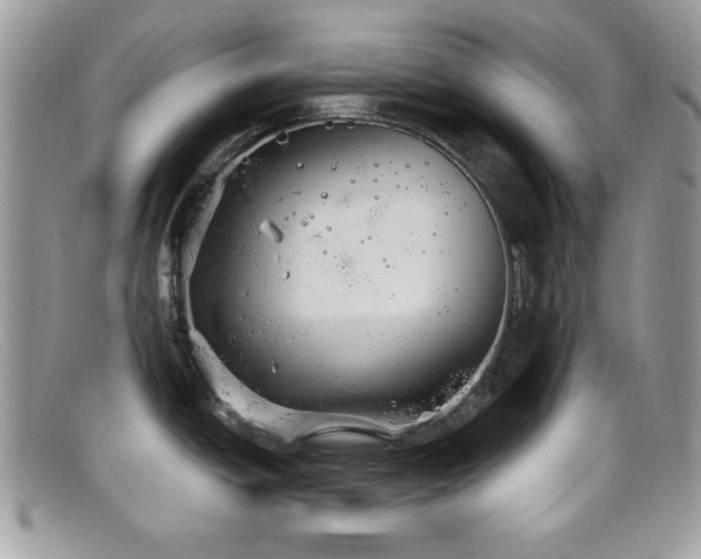 X0000099301438200805021222