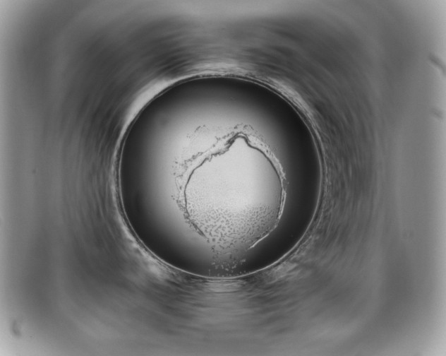 X0000099301440200805021222