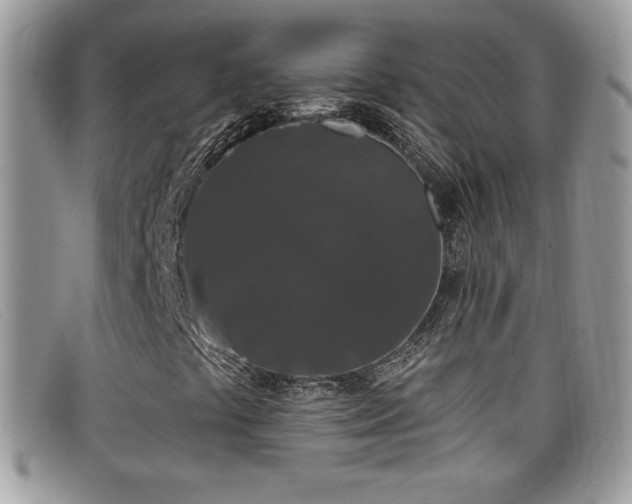 X0000099301441200805021221