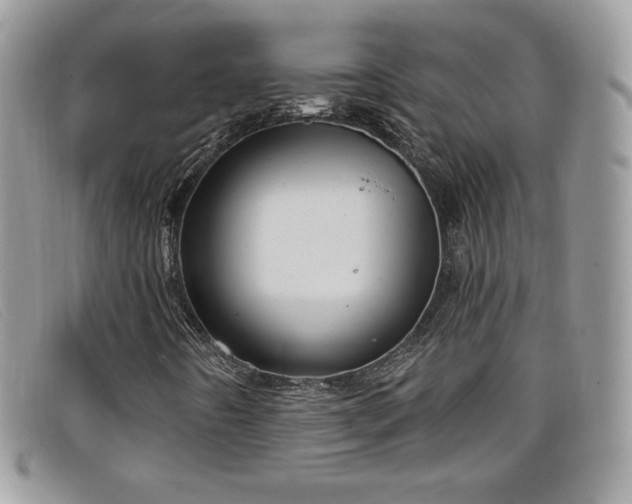 X0000099301442200805021221