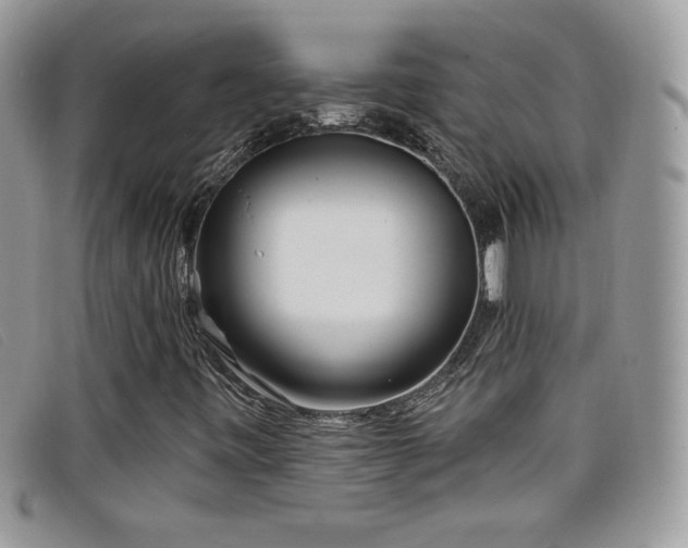 X0000099301443200805021221