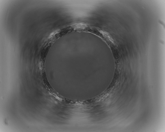 X0000099301445200805021221