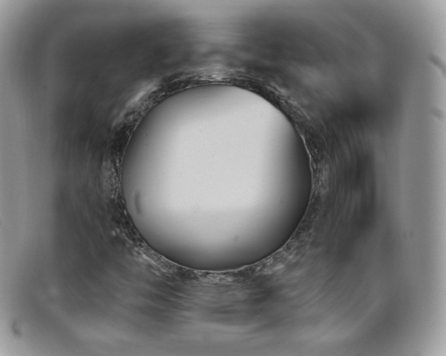 X0000099301446200805021221