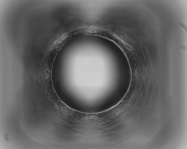 X0000099301447200805021221