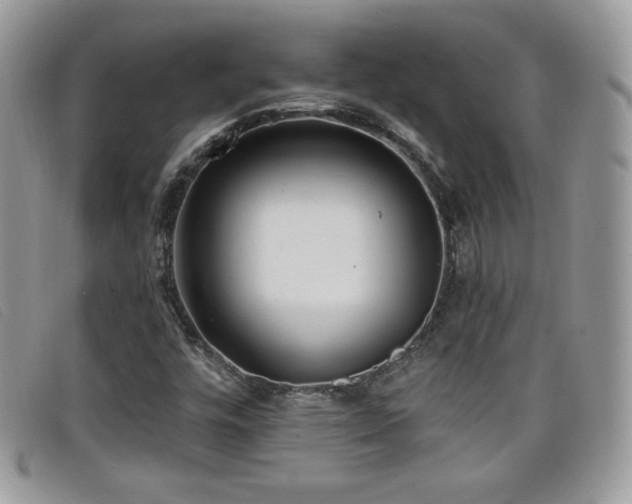 X0000099301448200805021221