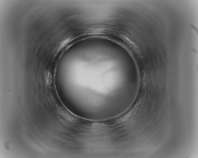 X0000099301449200805021221