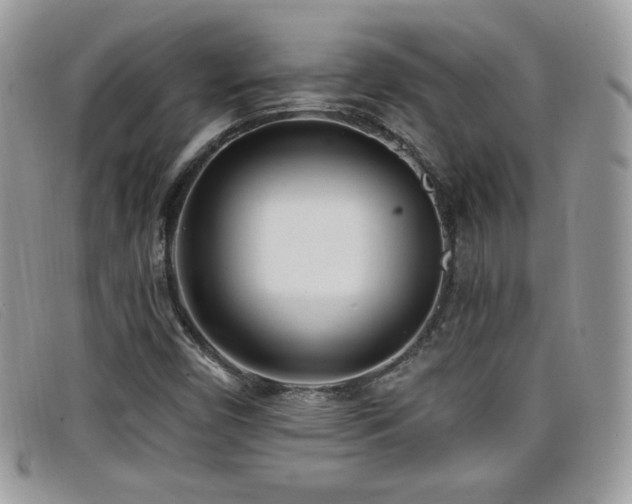 X0000099301450200805021221