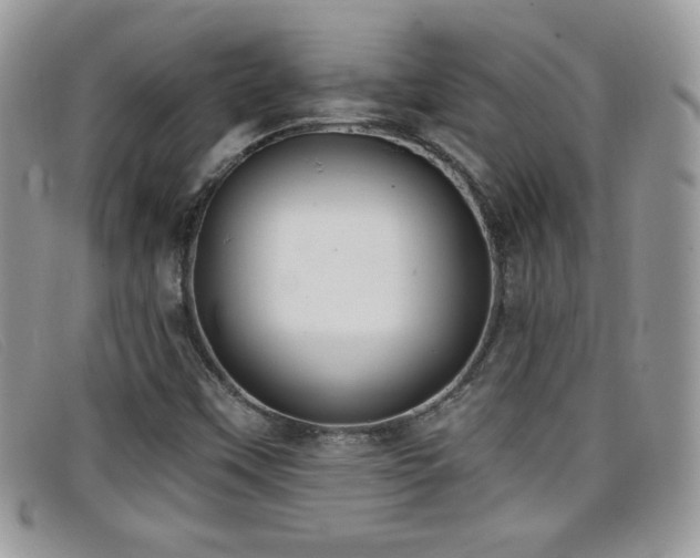 X0000099301451200805021221