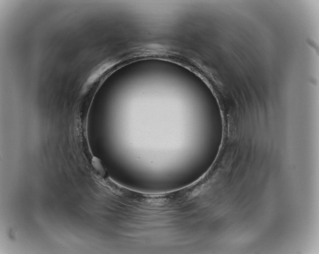 X0000099301453200805021221