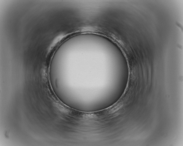 X0000099301454200805021221